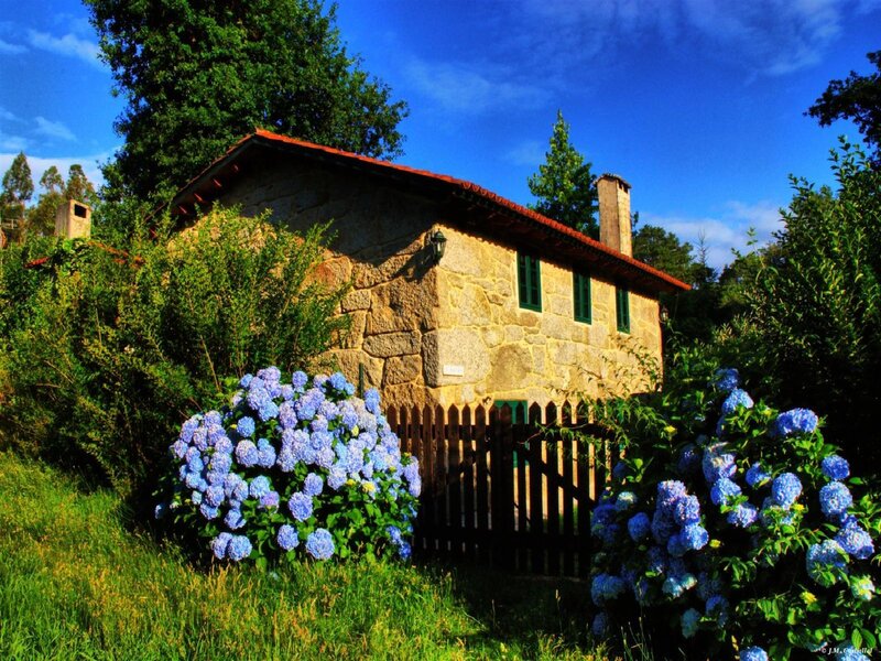 Stone cottage with hydrangeas