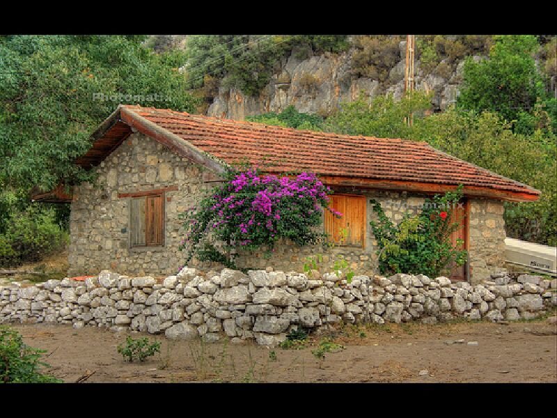 Stone cottage with purple flowers