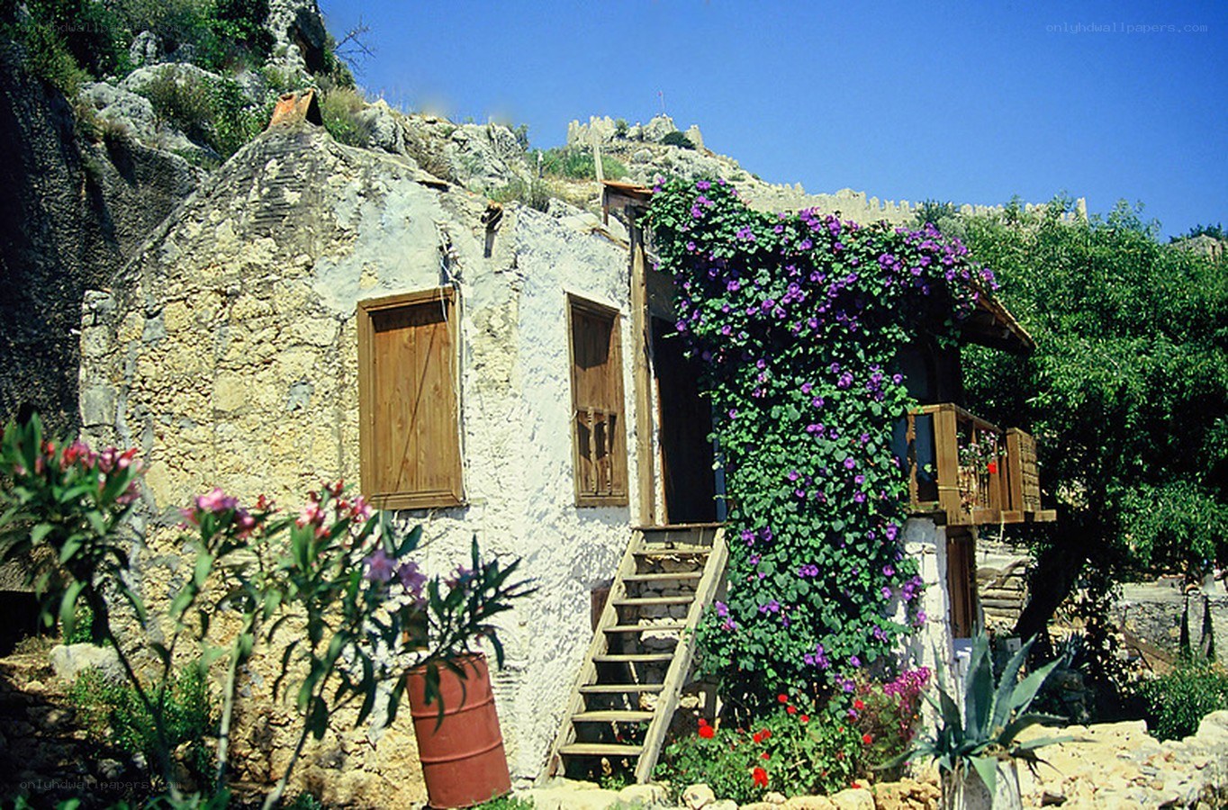 Stone cottage with purple flowers