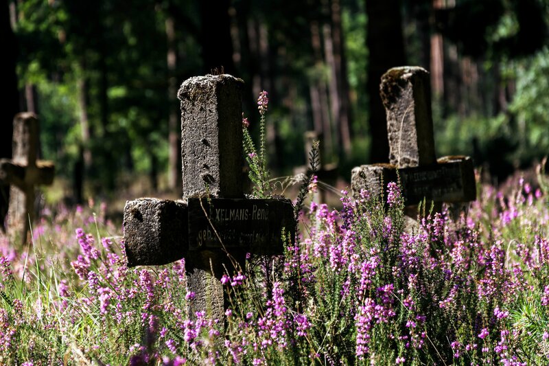Stone Crosses in Field