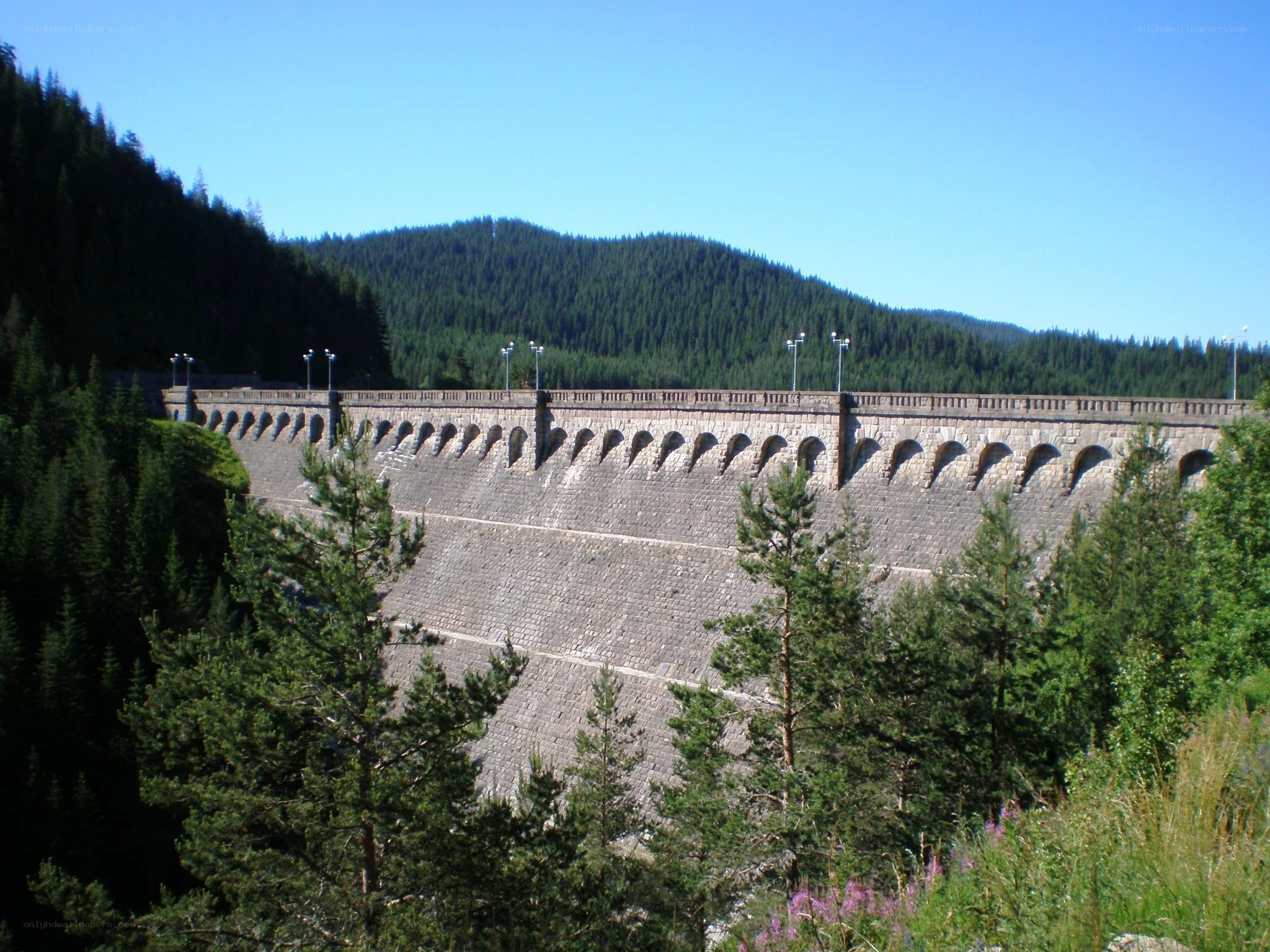 Stone dam in forested valley