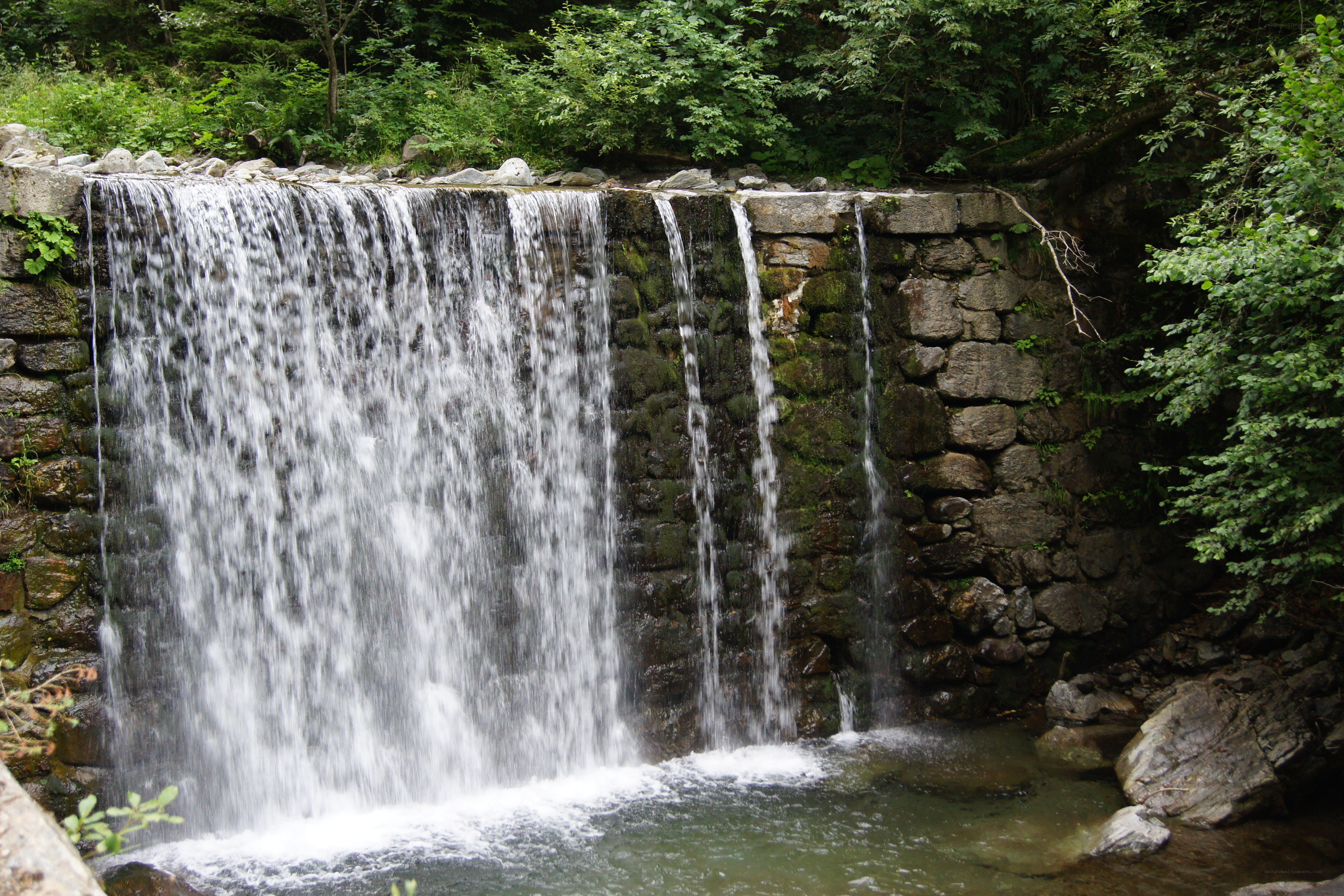 Stone dam waterfall in forest
