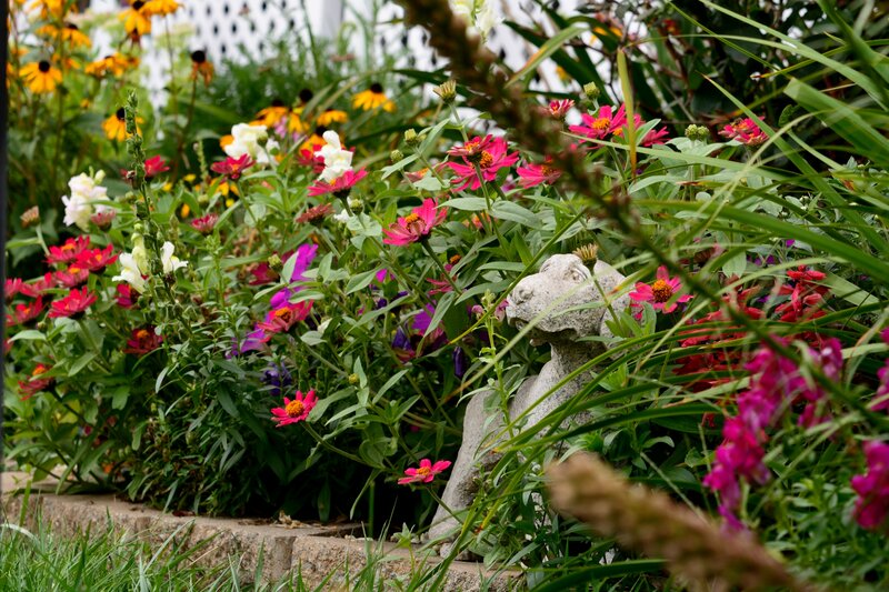 Stone Dog Statue in Garden