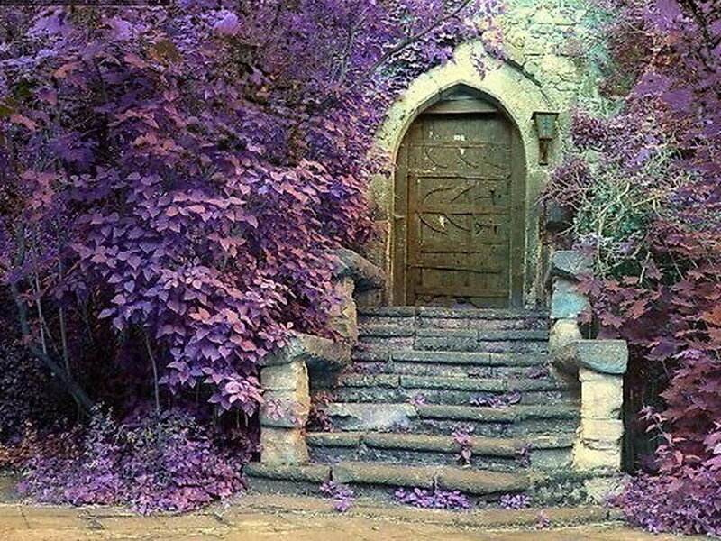 Stone Door with Steps