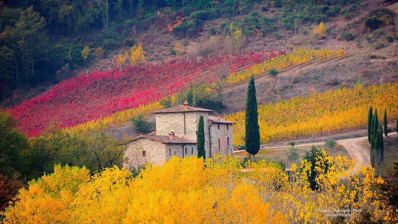 Stone Farmhouse in Vineyard