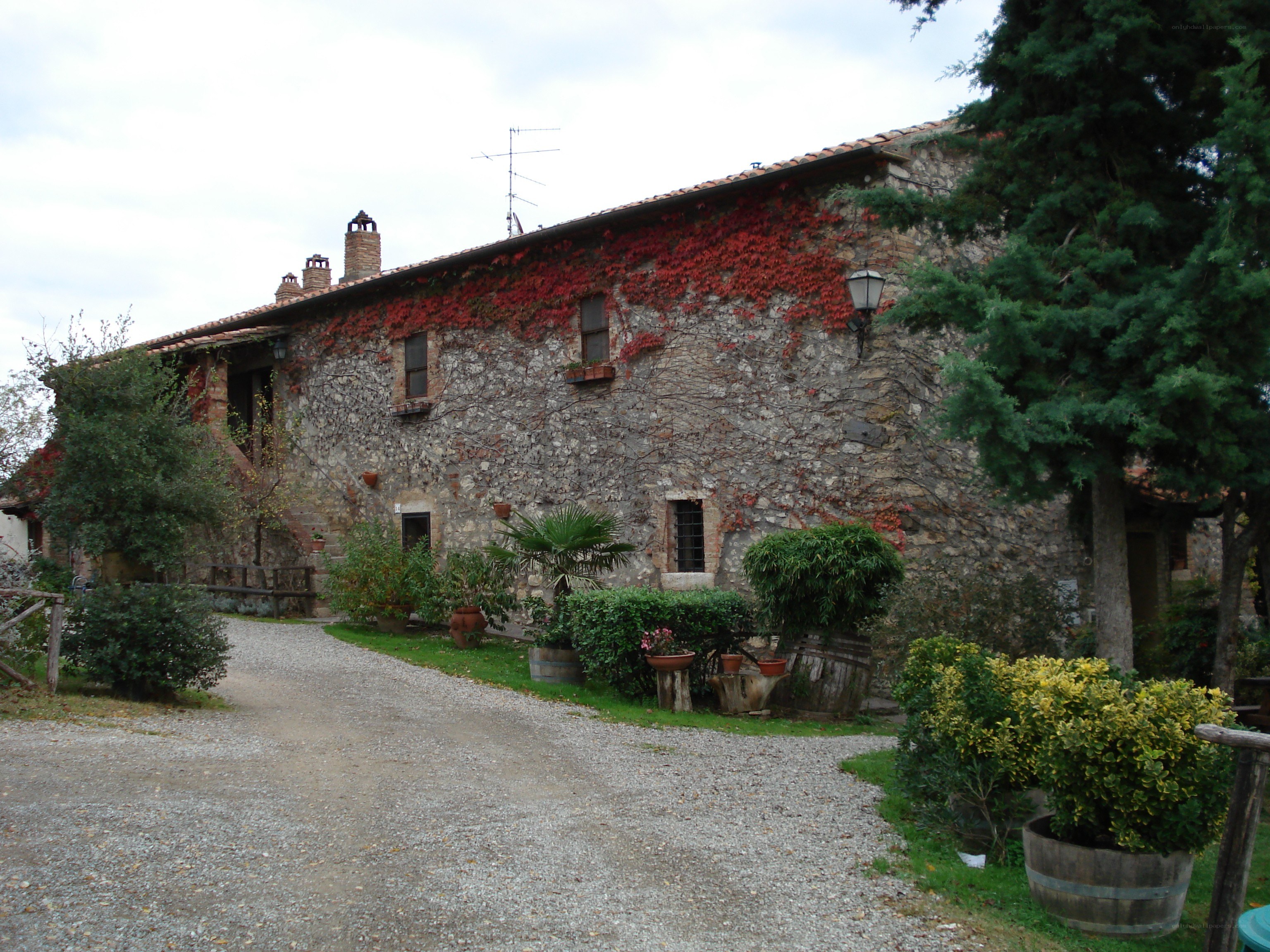 Stone farmhouse with ivy