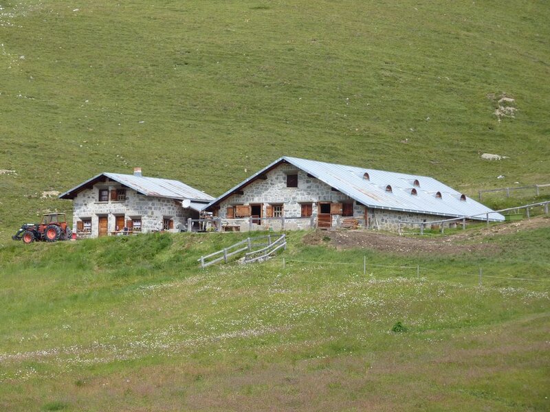 Stone Farmhouses in Field