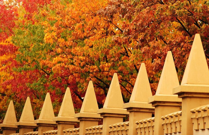 Stone Fence with Autumn Trees