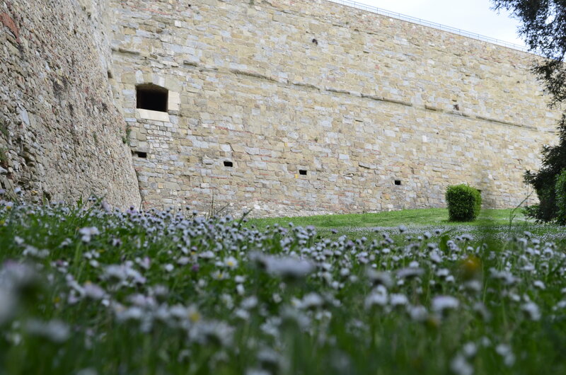 Stone Fortress Wall — Green