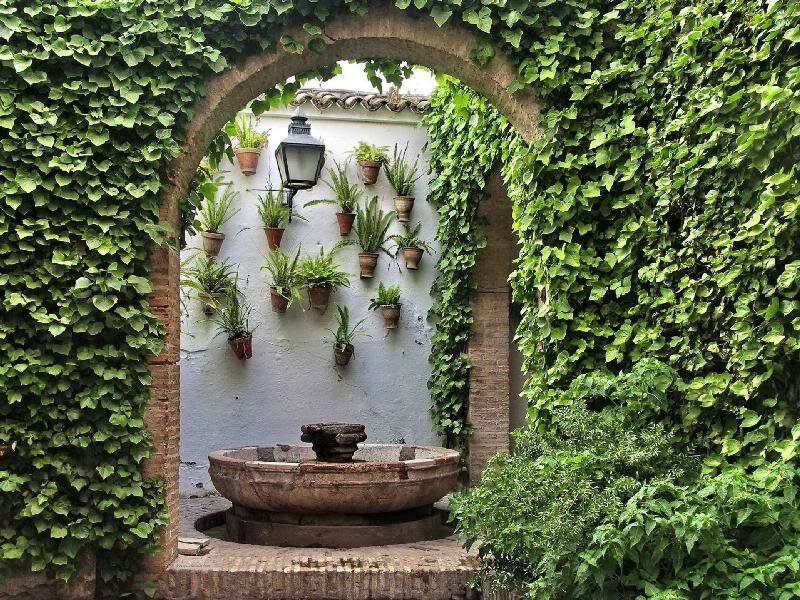 Stone Fountain in Garden — Green