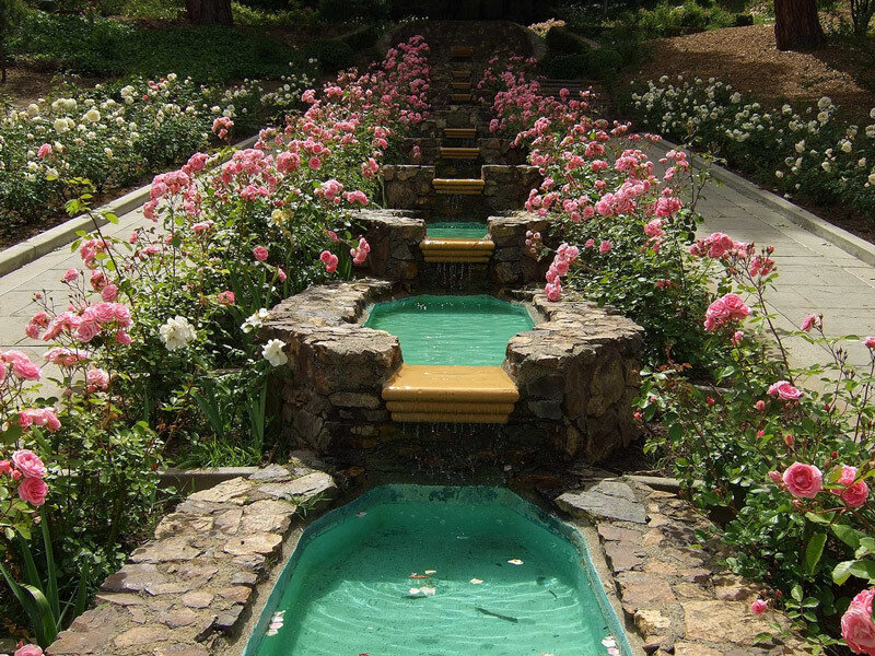 Stone Fountain with Roses