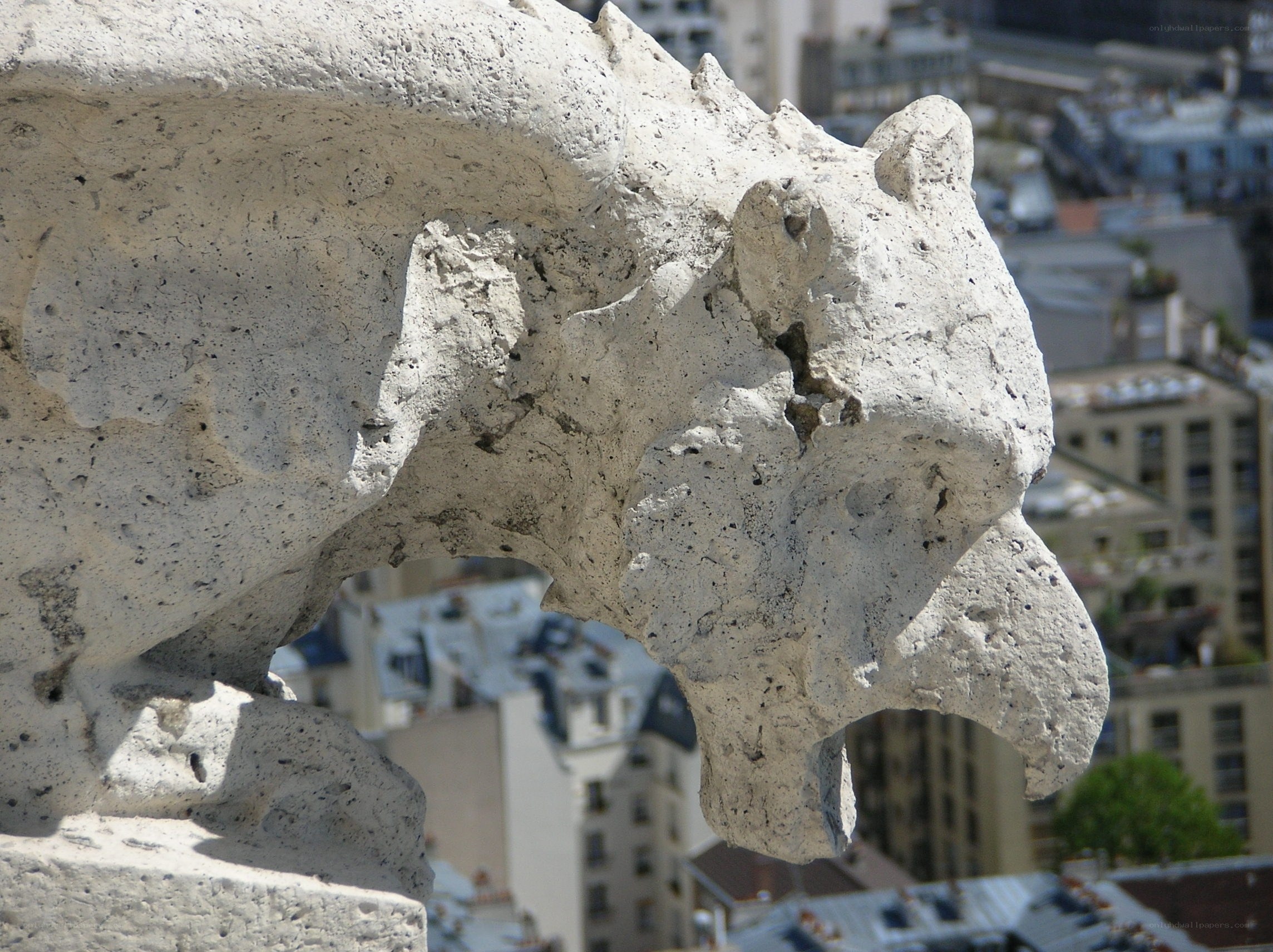 stone gargoyle on building