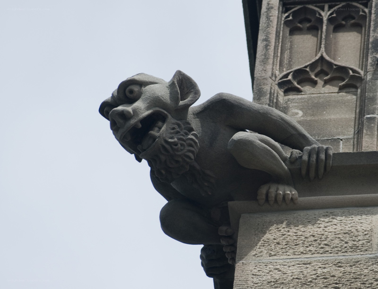 stone gargoyle on building