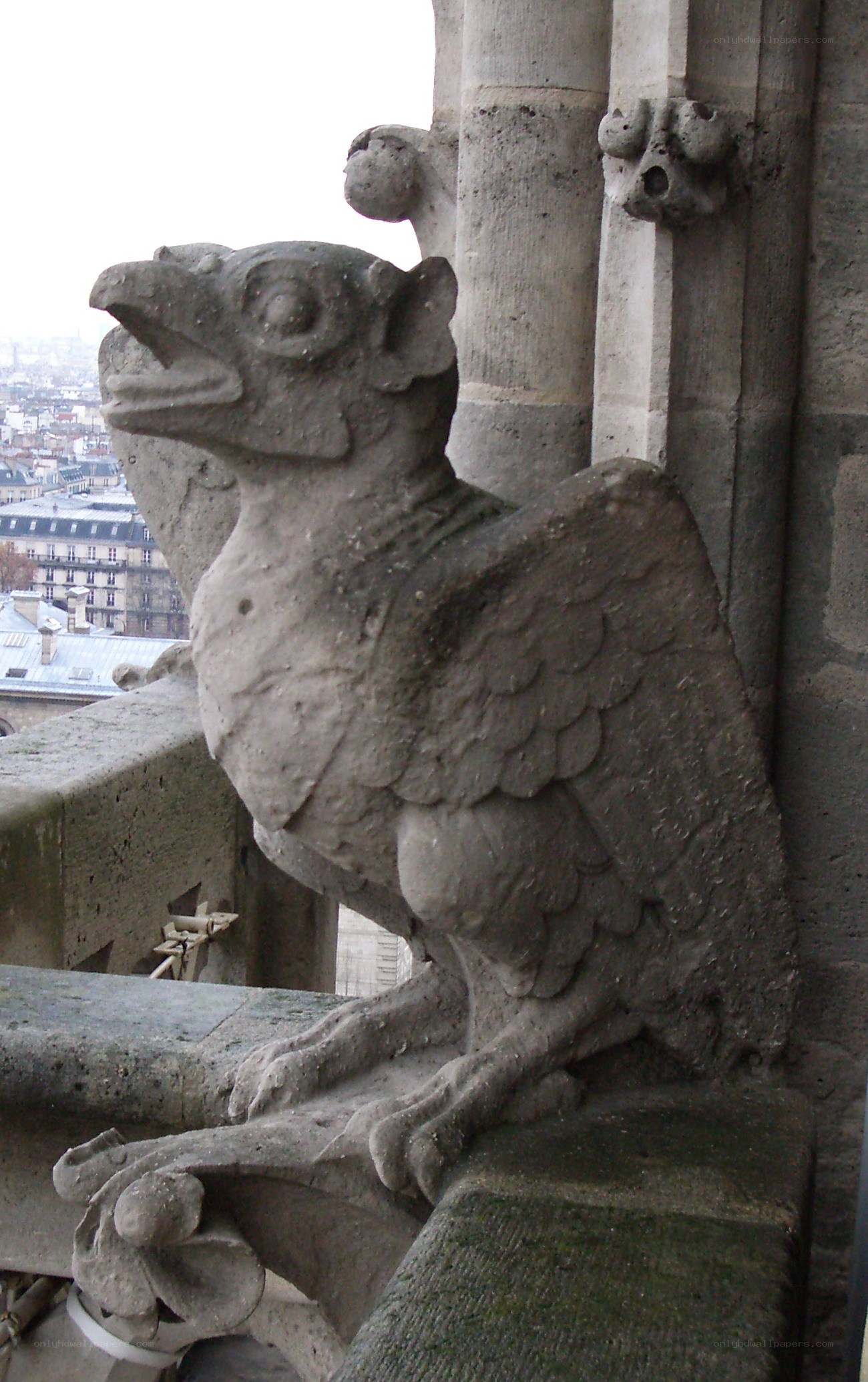 Stone gargoyle on cathedral