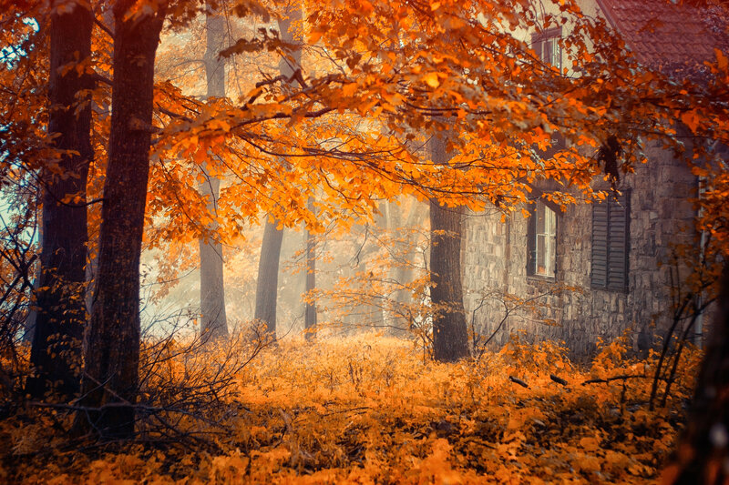Stone House in Autumn Forest