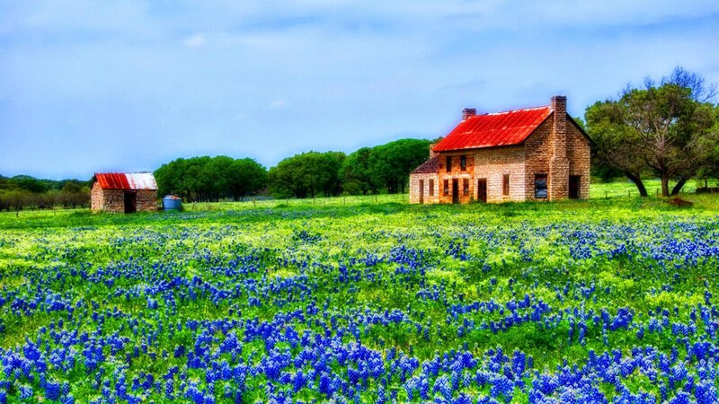 Stone House in Flower Field — Green