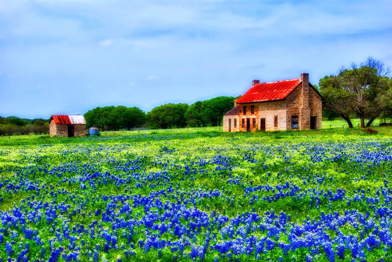 Stone House in Flower Field
