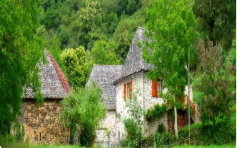 Stone House in Forest — Green, Serene, Afternoon, Photograph