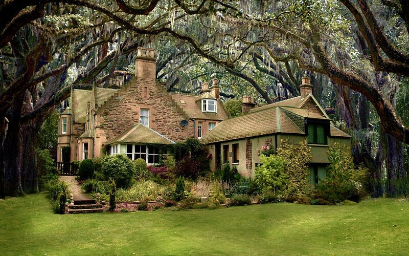 Stone House under Trees — Green