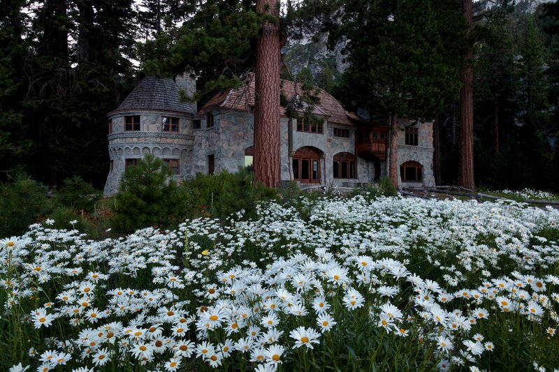 Stone House with Daisies