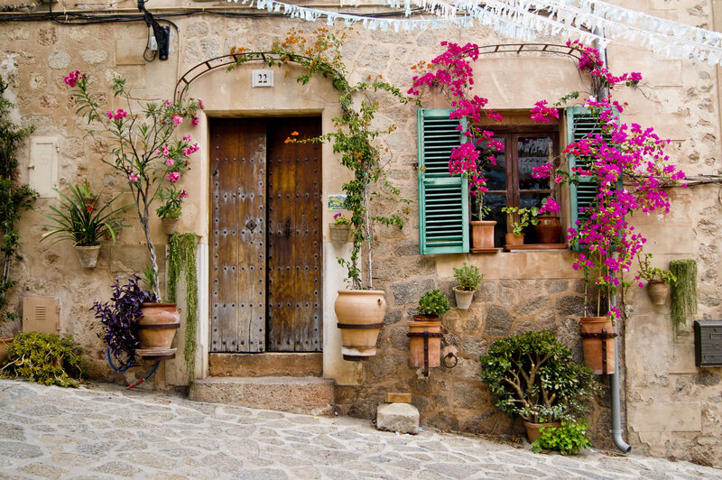 Stone House with Flowers — Brown