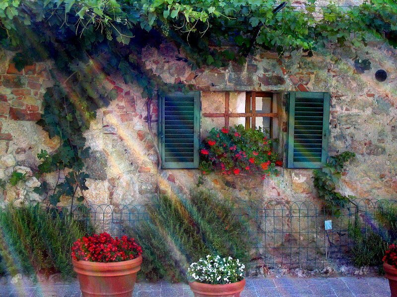 Stone House with Flowers — Green