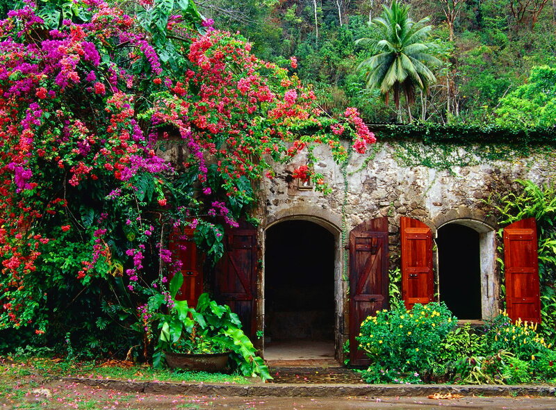Stone House with Flowers — Pink