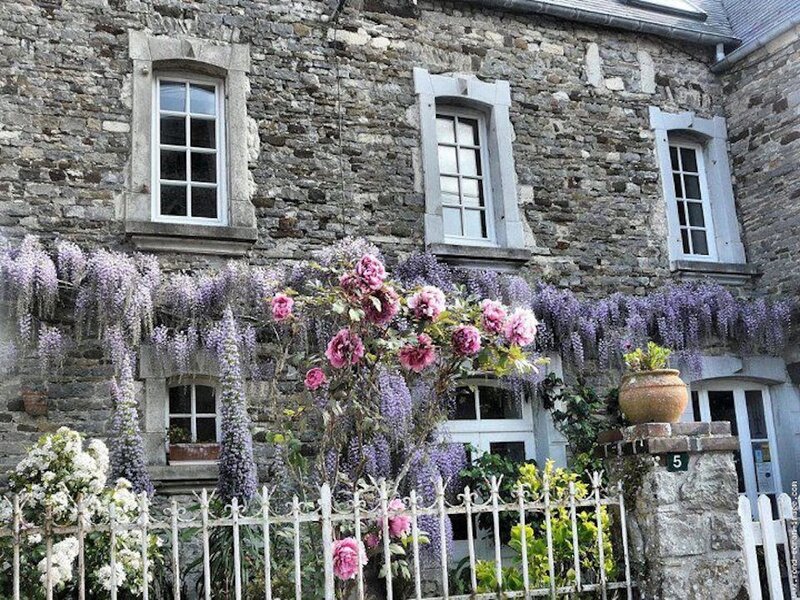Stone House with Flowers — Purple