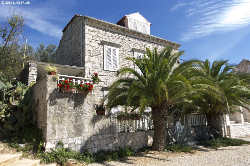 Stone House with Palm Trees