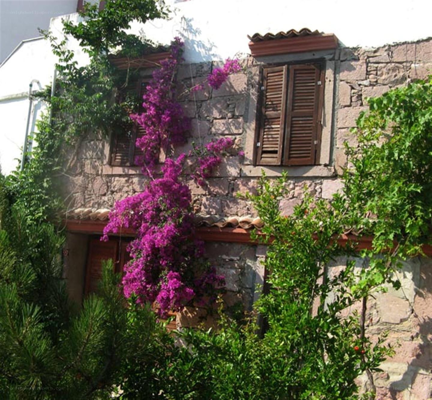stone house with purple flowers