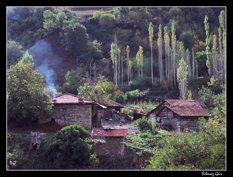Stone Houses in Valley — Green
