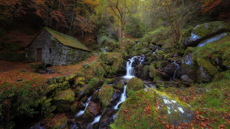 Stone Hut by Waterfall — Green, Serene