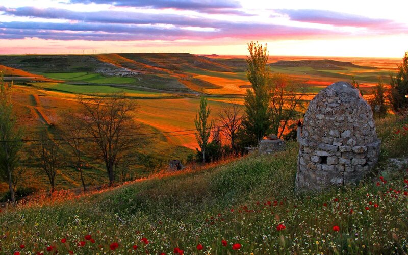 Stone Hut in Field — Orange, Serene