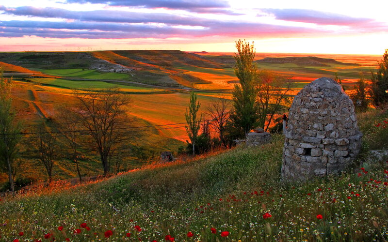 Stone Hut in Field — Orange