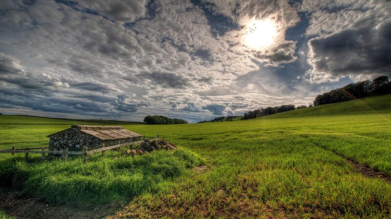 Stone Hut in Field