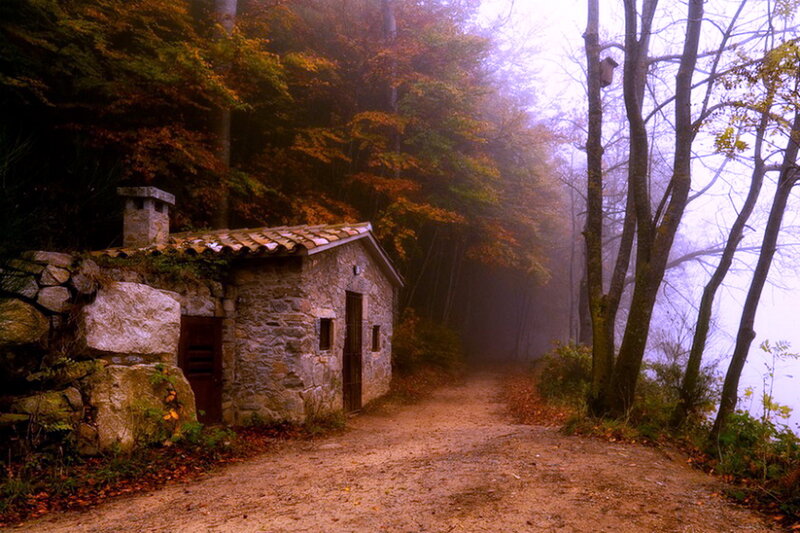 Stone Hut in Forest
