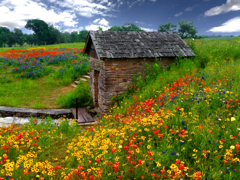 Stone Hut in Wildflowers
