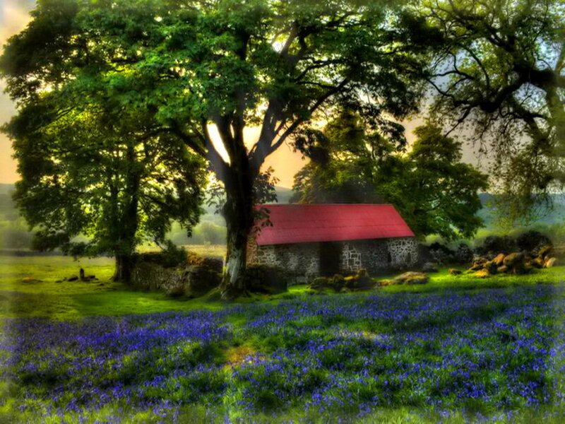 Stone Hut with Red Roof