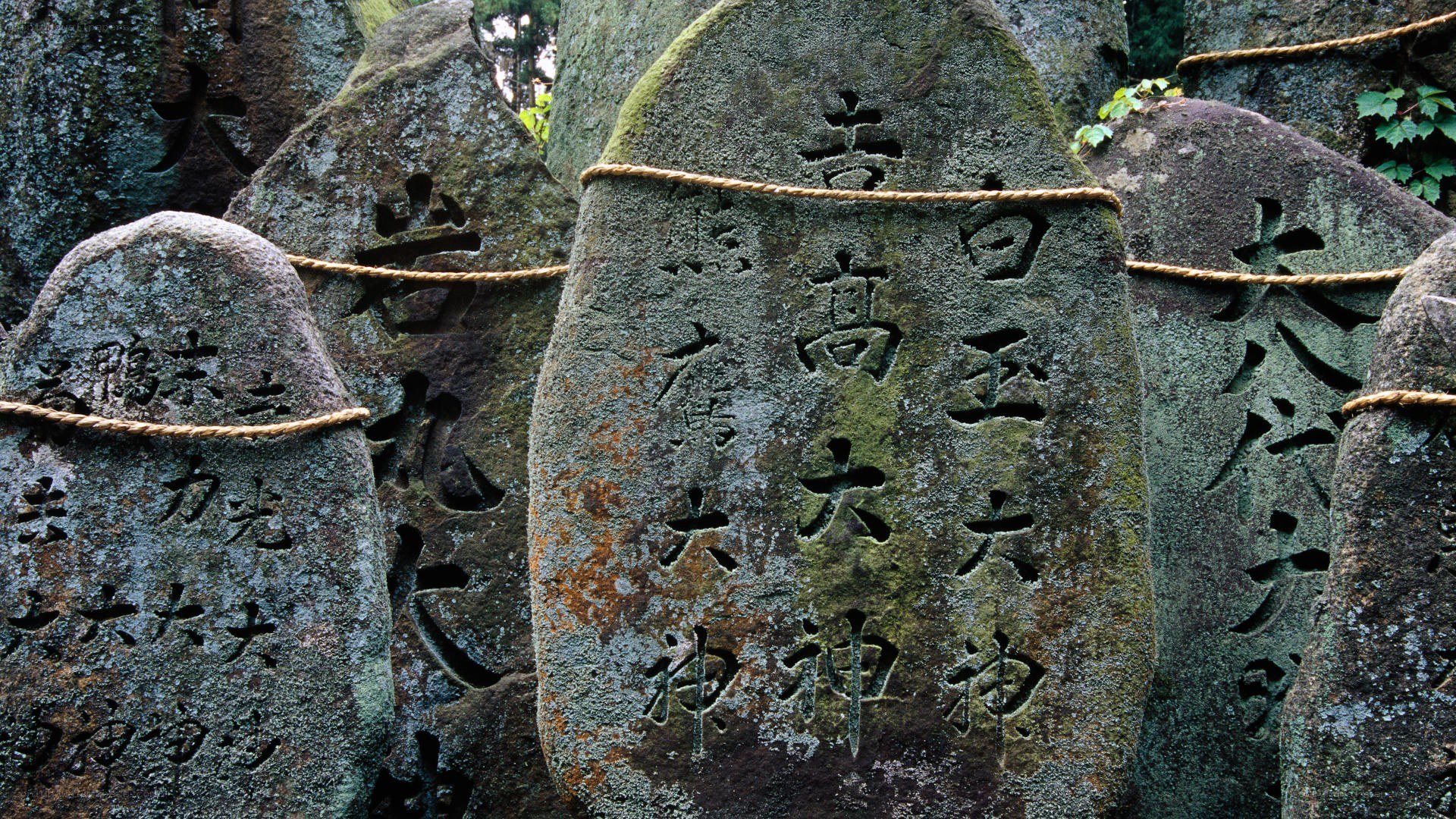 stone inscriptions at a shrine