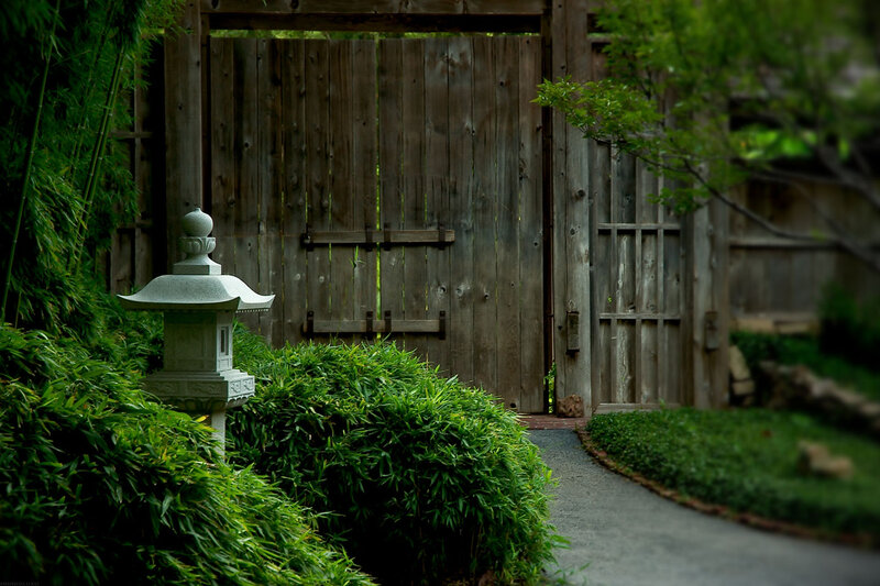 Stone Lantern and Wooden Gate — Green