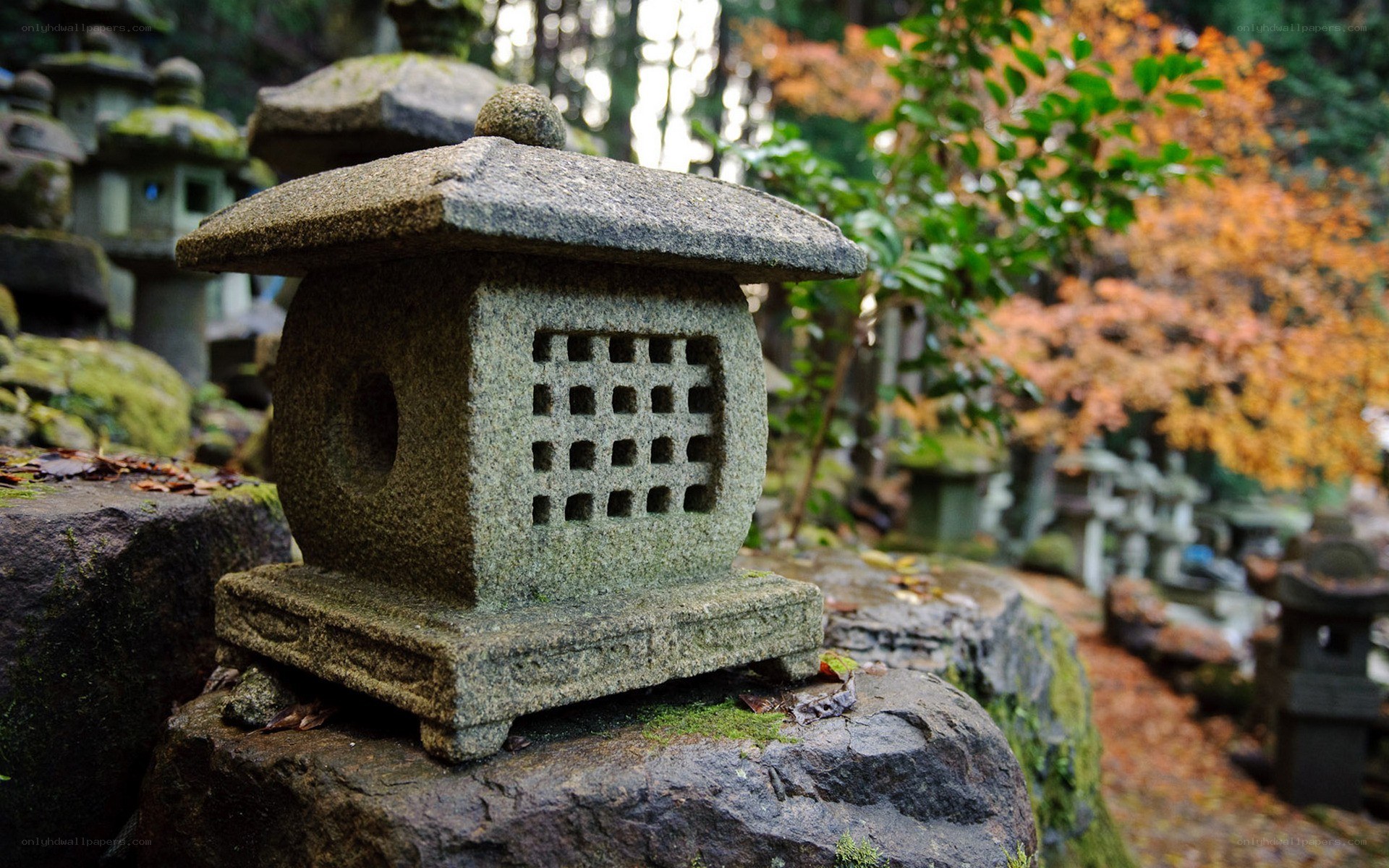 Stone lantern in autumn garden