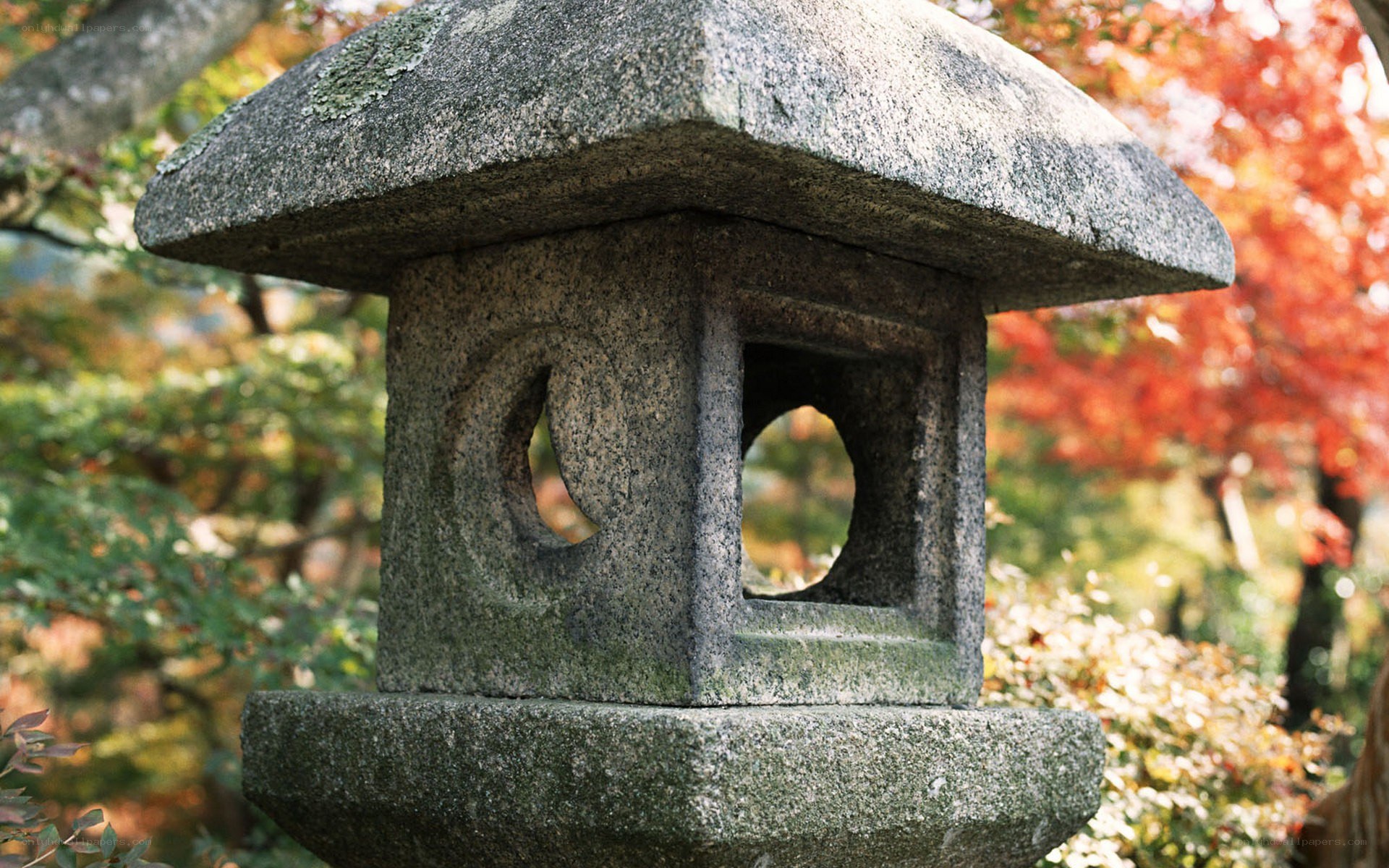 Stone lantern in autumn garden