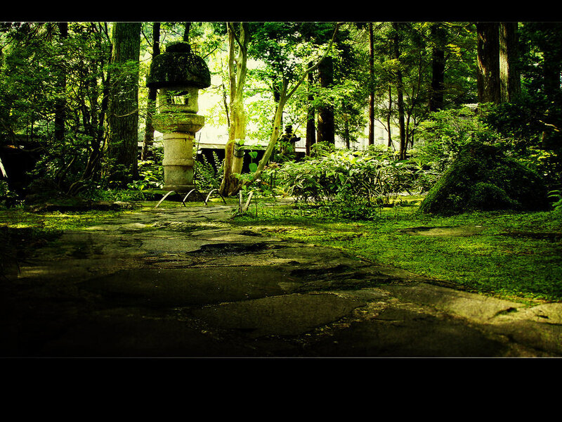 Stone Lantern in Forest