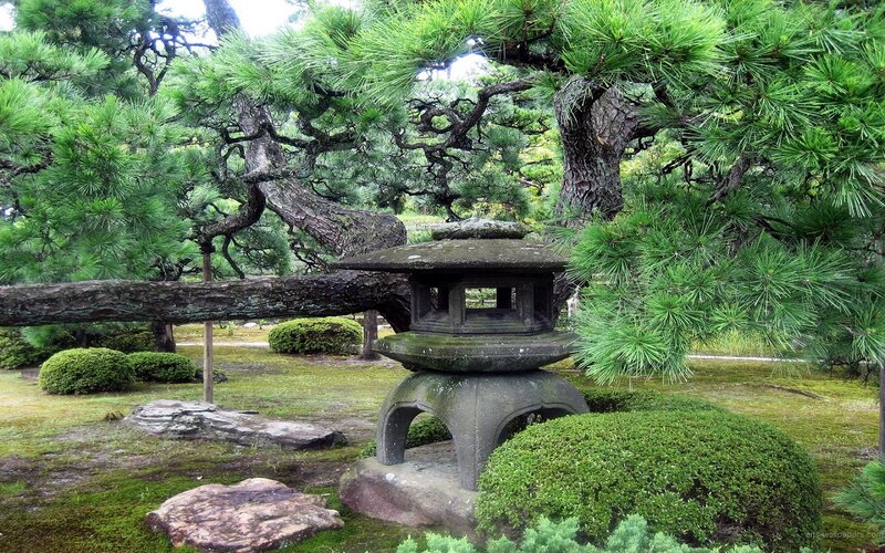 Stone Lantern in Garden — Green, Serene, Afternoon