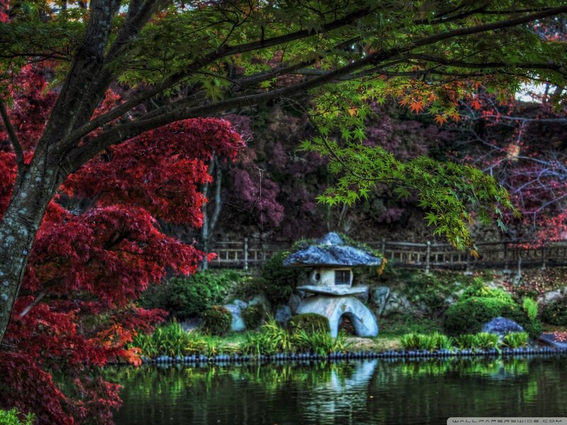 Stone Lantern in Garden — Green, Serene, Autumn