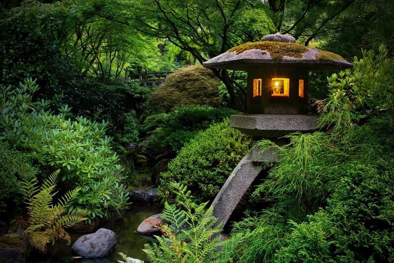 Stone Lantern in Garden — Green, Serene, Night