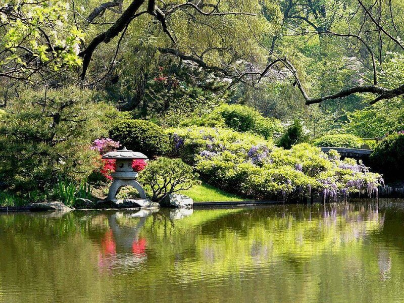 Stone Lantern in Garden — Green, Serene, Spring, Photograph, Pond