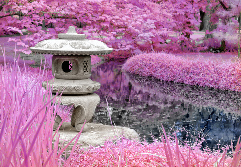 Stone Lantern in Garden — Pink, Serene