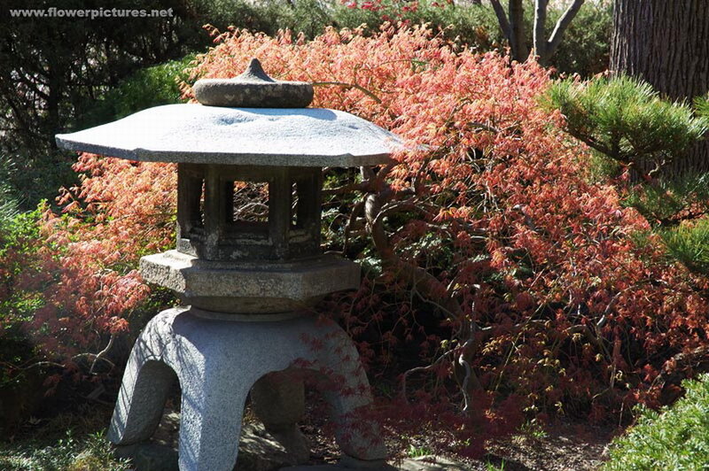 Stone Lantern in Garden — Red