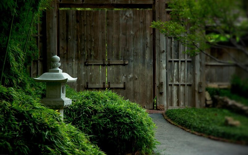 Stone Lantern in Garden — Serene